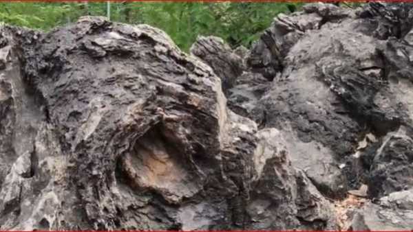 1.6 billion years old moss is still alive here in the form of stone… Scientists from 40 countries have also accepted its iron, now it will become a global tourist destination.