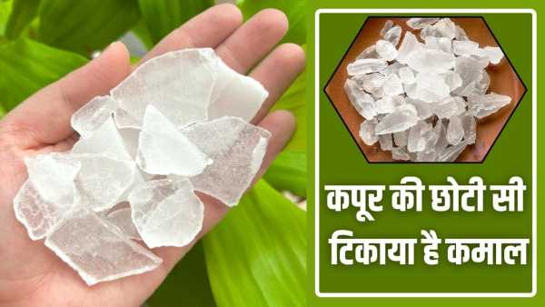 Apart from puja, amazing ways to use camphor, it will also be useful in emergency.