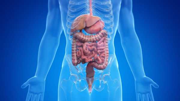 What to eat on an empty stomach to keep the digestive system healthy? Learn from experts