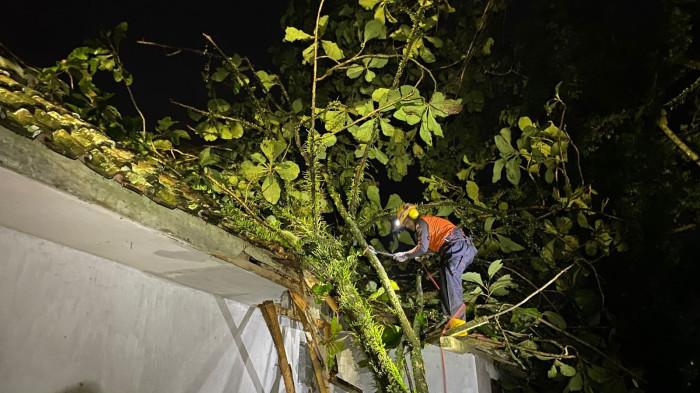 PENANGANAN POHON - Petugas BPBD Kota Tasikmalaya dibantu Anggota Polres Tasikmalaya Kota melakukan penanganan pohon tumbang hingga rumah roboh akibat dilanda hujan deras, pada Minggu (5/4/2026).