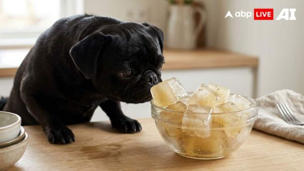 (Image Source: ABPLIVE AI)