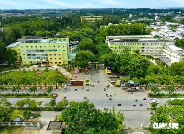 đại học - Ảnh 1.