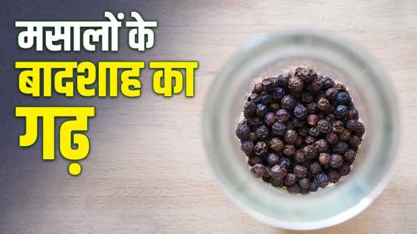 This country came out ahead in growing black pepper which is available at Rs 1,000 per kg?