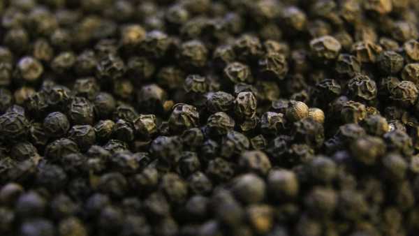 Black Pepper King Of Spices