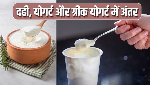 Curd, yogurt and Greek yogurt… you too don't understand the difference, know what is the difference