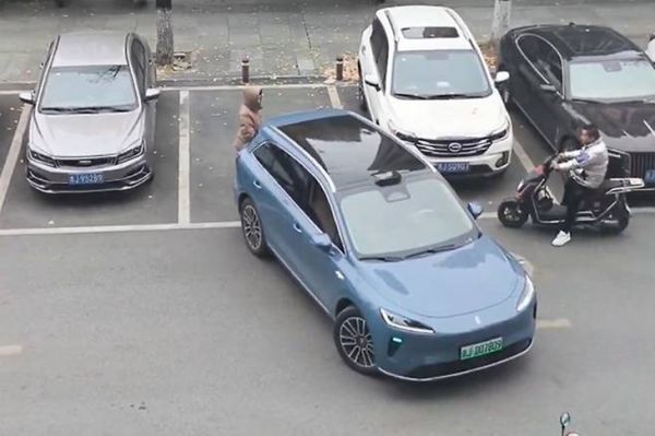 lùi chuồng - Ảnh 1.