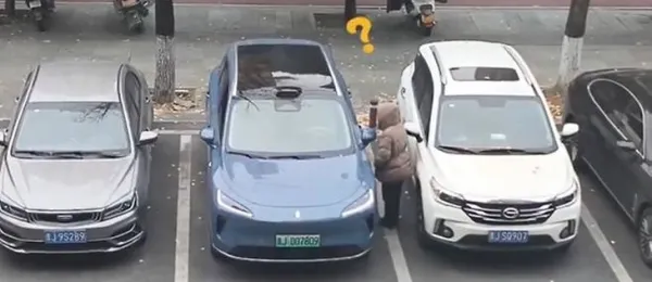 lùi chuồng - Ảnh 2.