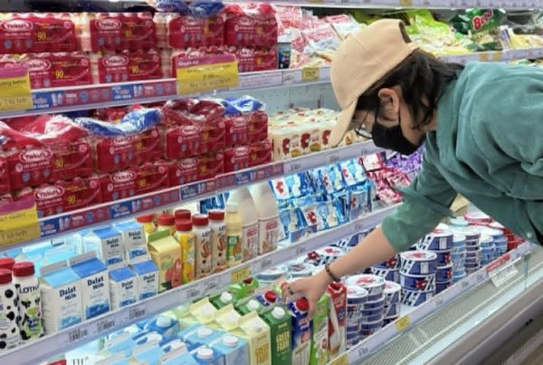 Sữa nguyên kem hay sữa ít béo? - Ảnh 1.