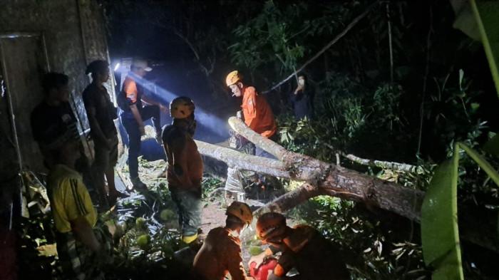 PENANGANAN - Petugas gabungan tengah melakukan penanganan pohon tumbang yang terjadi di beberapa kampung di wilayah Kecamatan Jatiwaras, Kabupaten Tasikmalaya akibat diguyur hujan deras, Selasa (7/4/2026) malam