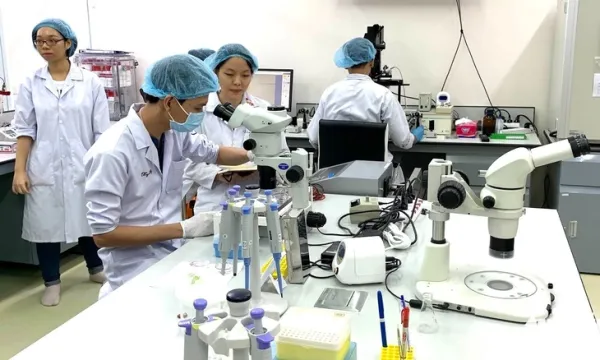 nhà khoa học - Ảnh 1.