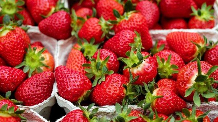 Ilustrasi stroberi