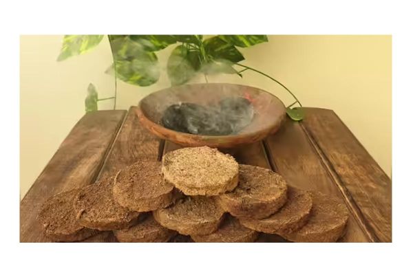 Animal waste like cow dung used in ancient beauty tips 
