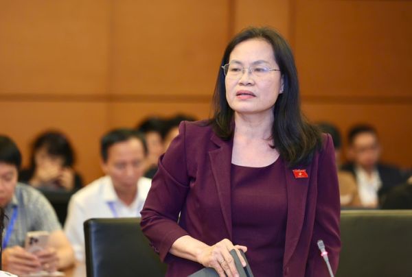 Luật Thủ Đô - Ảnh 3.