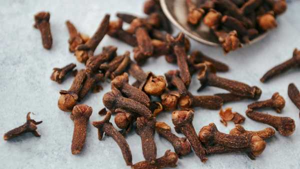 Clove Home Remedy For Cold And Cough In Kids
