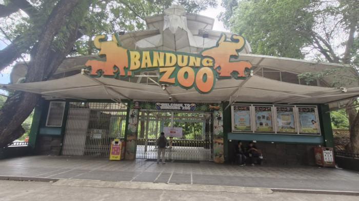 Gerbang depan Kebun Binatang Bandung yang disegel Satpol PP Kota Bandung, Kamis (5/2/2026). Pengunjung Bandung Zoo kecewa lantaran penyegelan mendadak oleh Satpol PP pada Kamis (5/2/2026).