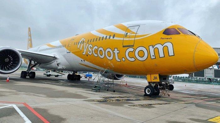 Maskapai Scoot Airlines yang sedang berhenti di bandara. Maskapai Scoot Airlines menawarkan tiket pesawat murah Jakarta-Bangkok mulai Rp 900 ribuan untuk penerbangan pada Rabu (25/10/2023).
