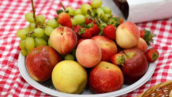 Is it right or wrong to eat fruits on an empty stomach? Know the opinion of nutrition expert