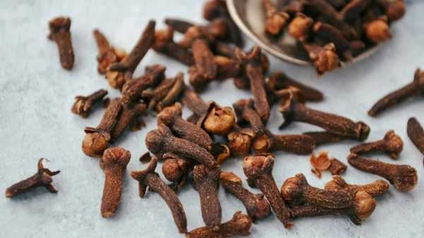 Spices 6