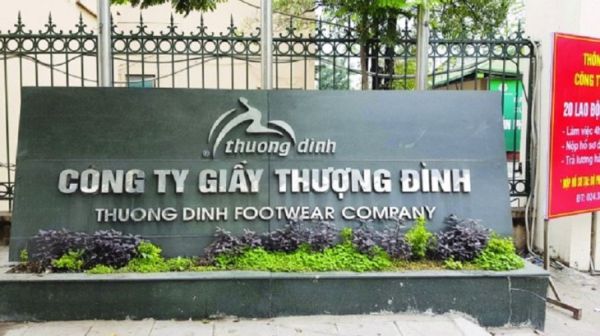 Công ty 6 tháng tuổi liên quan Vinaconex 'nhảy' vào Giày Thượng Đình - Ảnh 1.