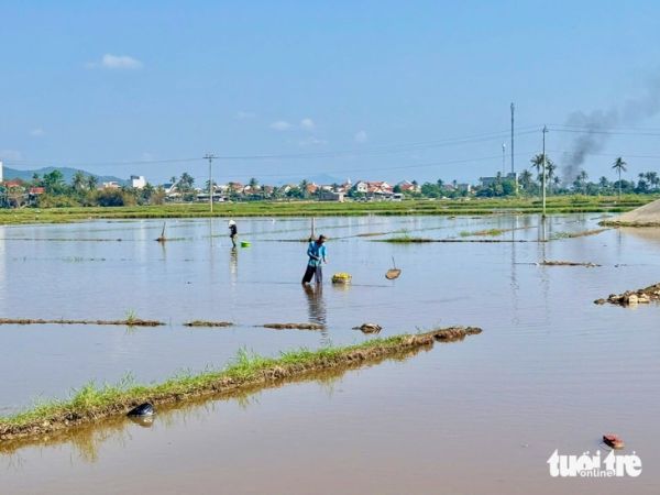 Sớm hoàn thiện đê ngăn mặn để giúp người dân - Ảnh 1.