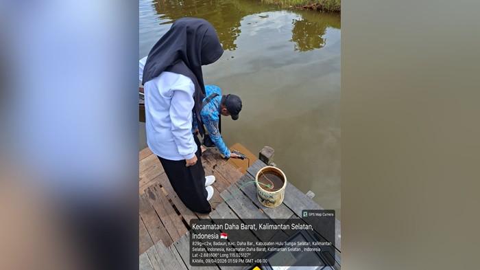Ikan keramba mati di HSS