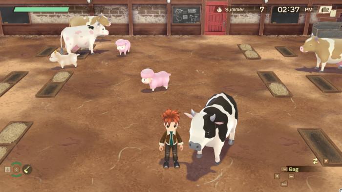 Livestocks pada Story of Seasons: A Wonderful Life