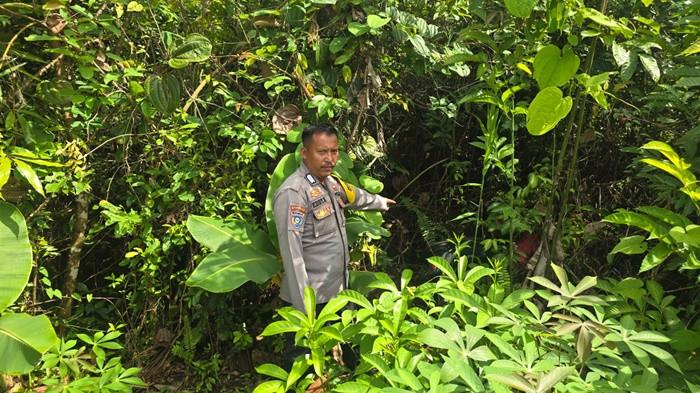 Motor matik dalam semak di Tabalong