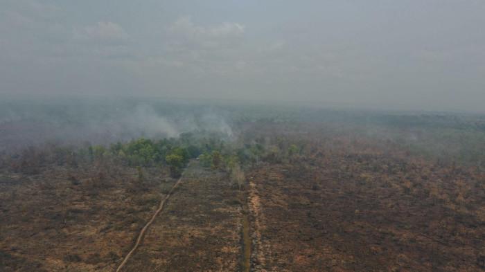 KARHUTLA DI KALBAR - Hamparan lahan terbakar terlihat dari udara, menyisakan asap yang masih membumbung di sejumlah titik. Pemprov Kalbar resmi menetapkan siaga bencana asap akibat Karhutla.
