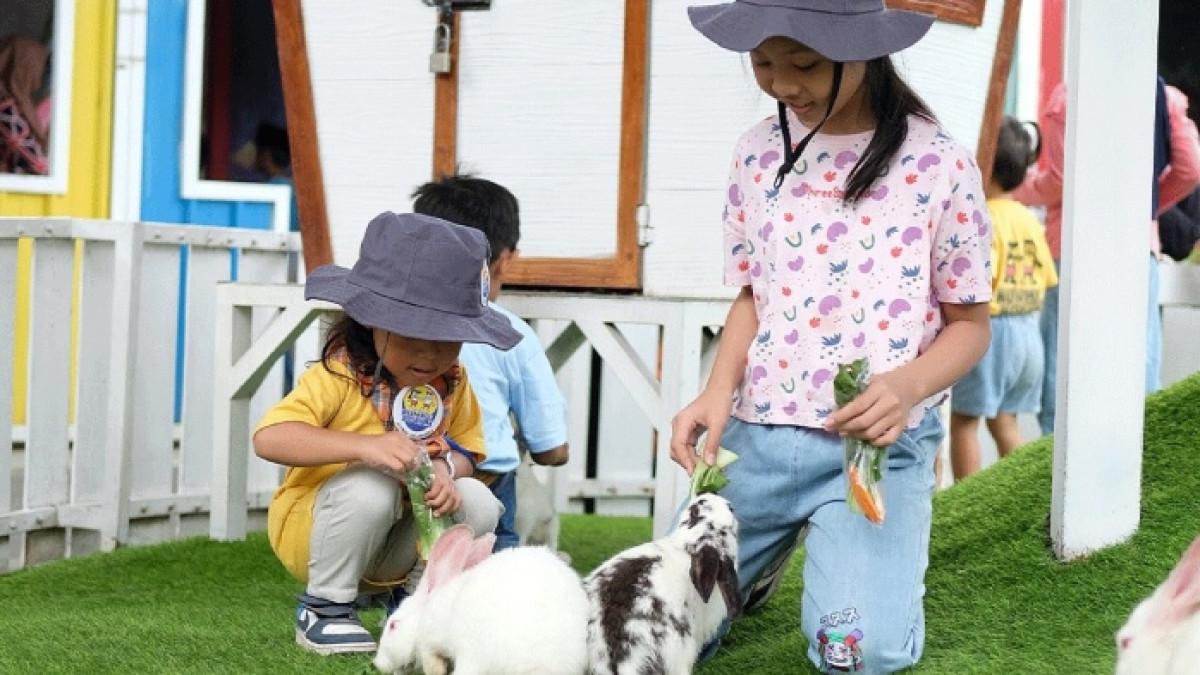 Suraloka Interactive Zoo, tempat wisata di Jogja yang cocok dikunjungi bersama anak-anak.