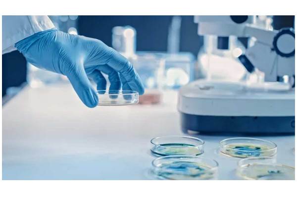 Health Tips: Study warns antibacterial soaps & detergents may fuel superbugs