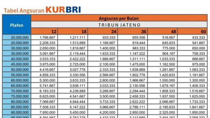 KUR BRI 2026 Januari Rp 3 Juta hingga Rp 20 Juta 1