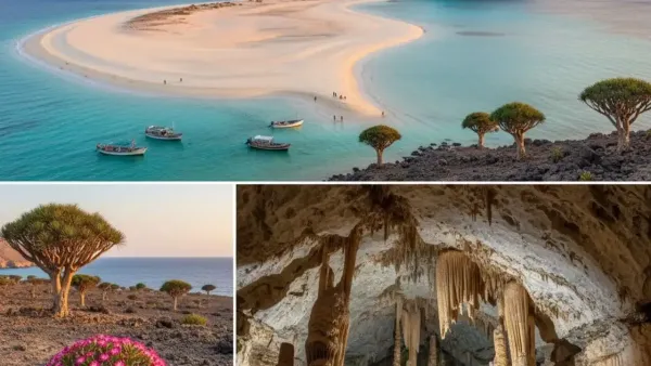 Socotra island beach, dragon blood trees and limestone cave.