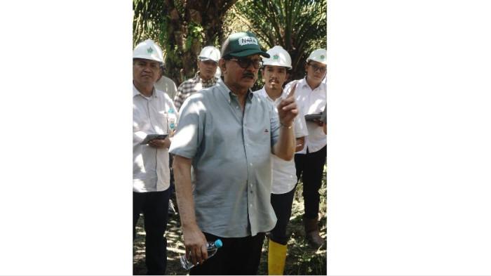 Tim Operational Strategic Advisory Holding PT Perkebunan Nusantara (Persero), berkunjung langsung ke Kebun-kebun PTPN IV Regional IV Jambi.