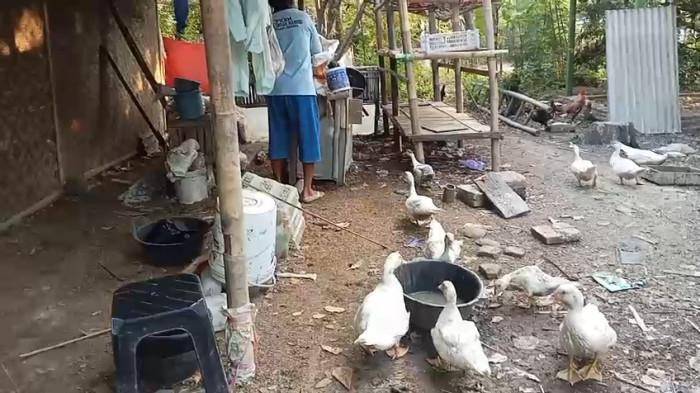 20260415_Abdul Latif (56) warga miskin di Brebes_1