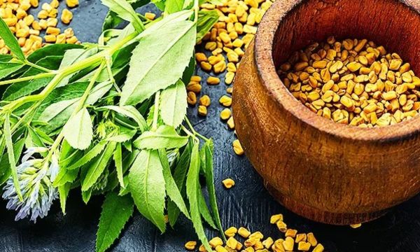 Methi Water For Hair