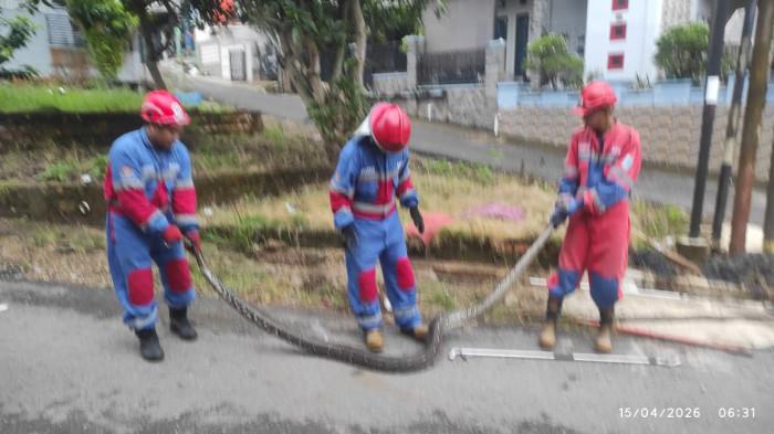 CALL CENTER BAHAGIA-Petugas Damkartan Kota Jambi mengevakuasi dua ular sanca sepanjang 3 hingga 3,5 meter dari permukiman warga.