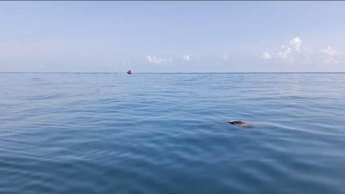 DITEMUKAN  - Korban bernama Fadel Surupati (19), warga Lindongan 4 Kampung Mala, ditemukan pada Jumat (17/4/2026) sekitar pukul 07.25 Wita di sekitar Pantai Gihang.