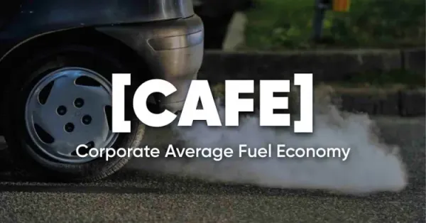 cafe3 draft norms featured