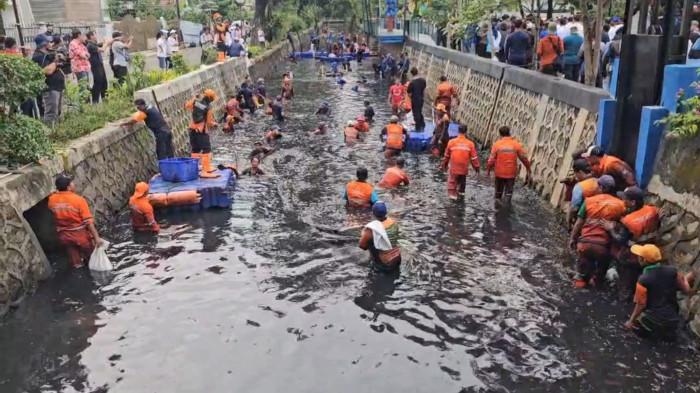 GEREBEK SAPU-SAPU - Suasana gerakan tangkap ikan sapu-sapu di saluran air wilayah RW 06 Kelapa Gading Barat, Kelapa Gading, Jakarta Utara, Jumat (17/4/2026). (TRIBUNJAKARTA.COM/GERALD LEONARDO AGUSTINO).