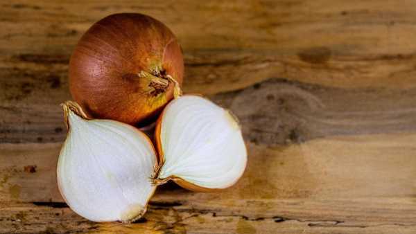 Onion For Heat Wave