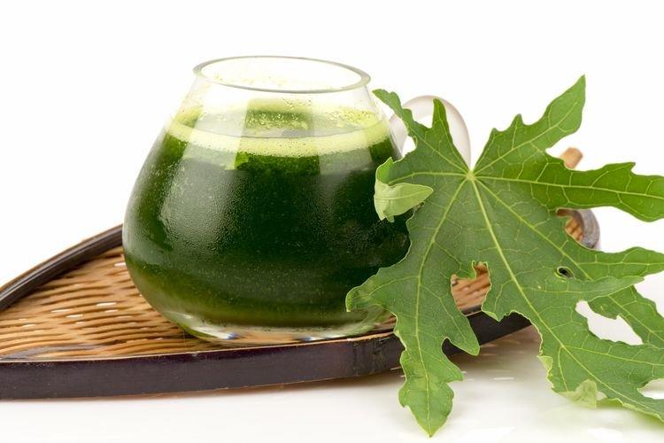 Ilustrasi - Jamu Daun Pepaya