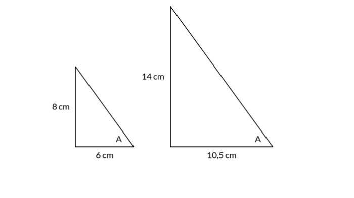 20260422 kunci jawaban matematika 1