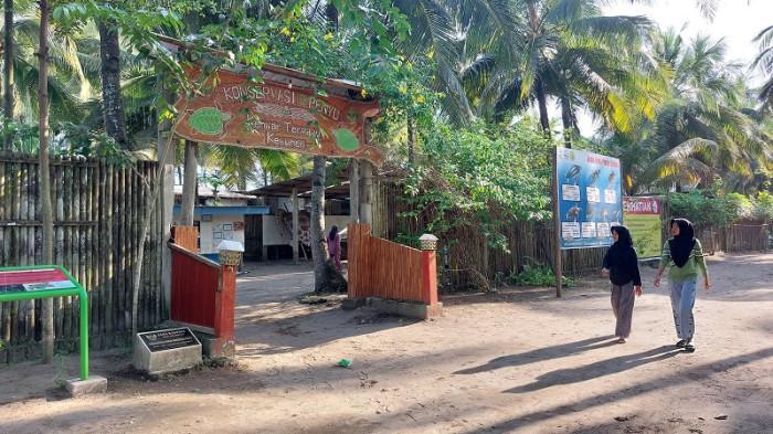 KONSERVASI PENYU - Pengunjung melintas di pintu masuk Konservasi Penyu Pantai Kembar Terpadu yang terletak di Desa Tambakmulyo, Kecamatan Puring, Kabupaten Kebumen, Jawa Tengah, Jumat (24/4/2026).