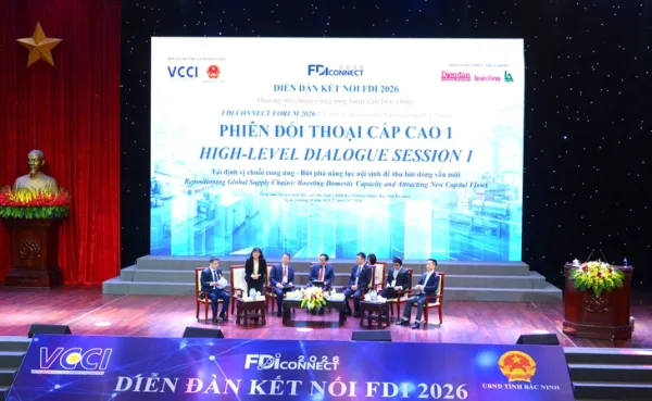 vốn đầu tư nước ngoài - Ảnh 2.