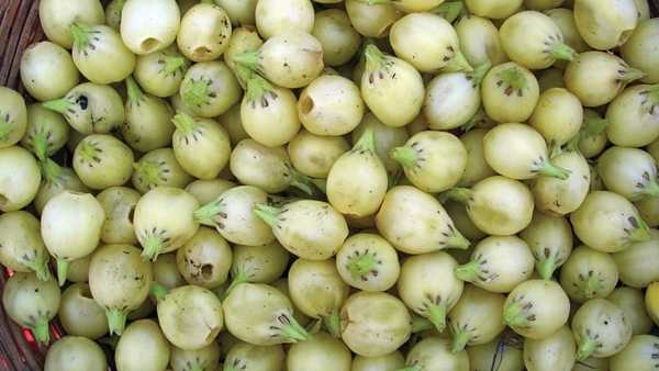 Mahua Liquor
