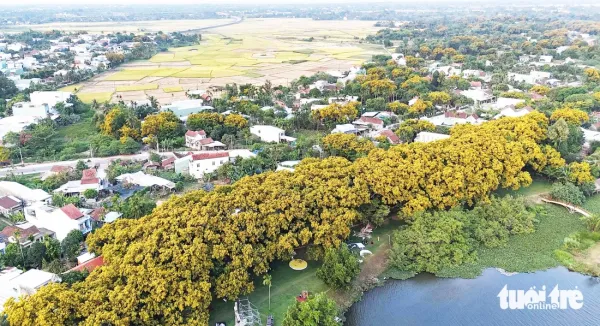khinh khí cầu - Ảnh 2.
