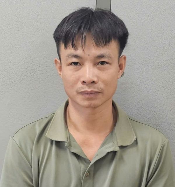 xưởng gỗ - Ảnh 1.