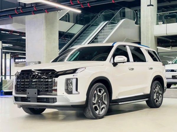 Hyundai Palisade - Ảnh 1.