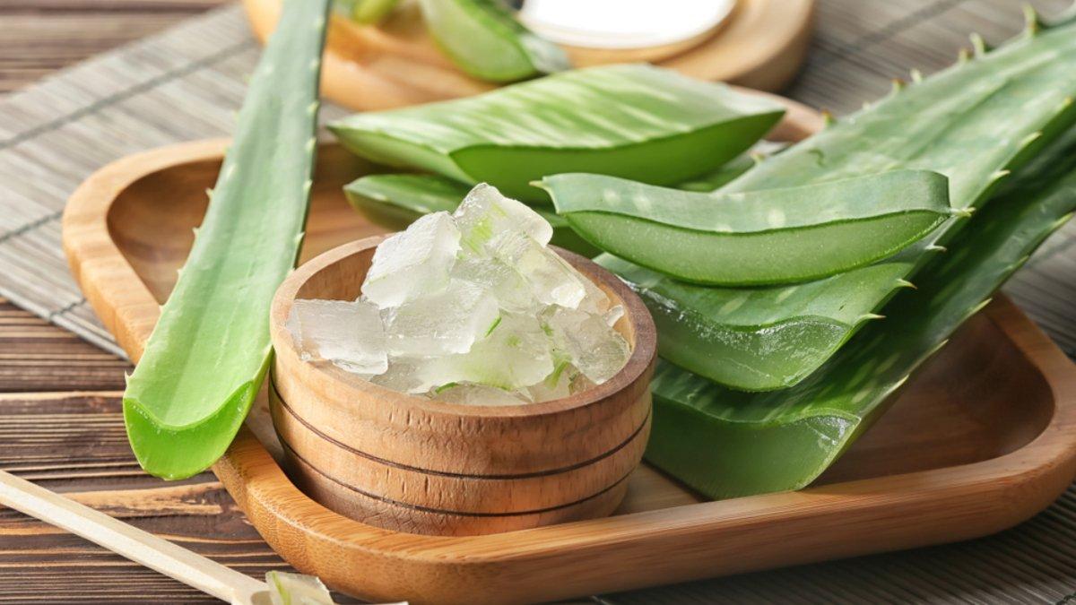 Gel lidah buaya bisa kamu manfaatkan untuk meredakan biduran.