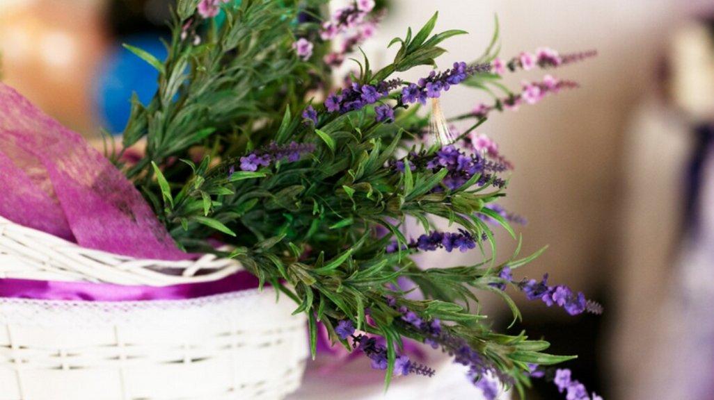 Ilustrasi Lavender